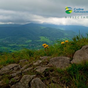 Bieszczady na szlaku