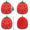 Ritter. Tomato. Squishmallows. Wersja. B. Seria 16, pluszak, 19 cm. Jazwares