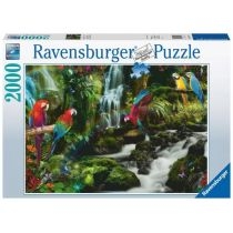 Puzzle 2000 el. Papugi w dżungli. Ravensburger
