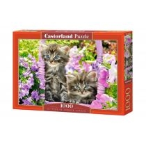 Puzzle 1000 el. Kittens in. Summer. Garden. Castorland