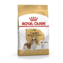 Royal. Canin. Cavalier king charles adult - karma sucha dla dorosłych i starszych psów, rasy cavalier king charles spaniel 1 kg