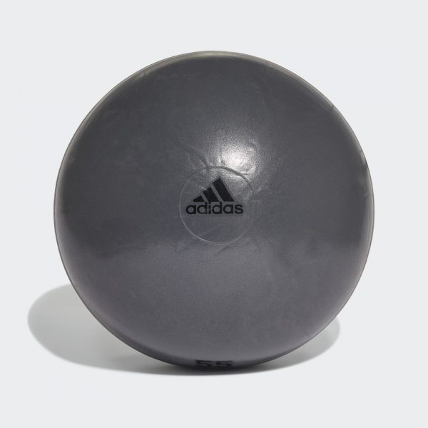 Gymball 55 cm