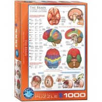 Puzzle 1000 el. The. Brain 6000-0256 Eurographics