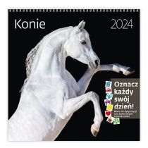 Kalendarz 2024 30x30 Konie z naklejkami
