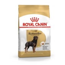 Royal. Canin. Rottweiler adult - karma sucha dla dorosłych psów rasy rottweiler 12 kg