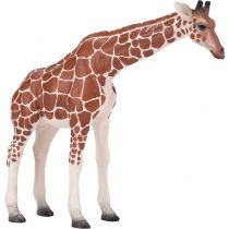 Figurka Żyrafa samica. XL
