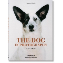 The. Dog in. Photography