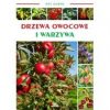 Mój ogród. Drzewa owocowe i warzywa w ogrodzie