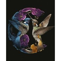 Twoje. Hobby. Malowanie po numerach - Kolorowe kolibry 40x50cm