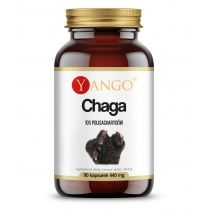 Yango. Chaga - ekstrakt 10% polisacharydów - suplement diety 90 kaps.