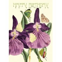 Madame. Treacle. Karnet. B6 brokat z kopertą Urodziny. Orchidea