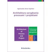 Architektura zarządzania procesami i projektami