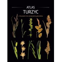 Atlas turzyc z kluczami do oznaczania gatunków