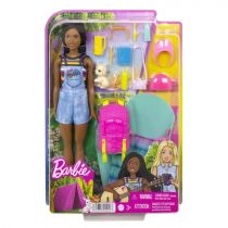 Barbie. Kemping. Barbie. Brooklyn. Lalka + akcesoria. HDF74 Mattel