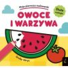 Moje pierwsze malowanki. Owoce i warzywa