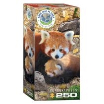 Puzzle 250 el. Czerwone pandy. Eurographics