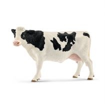 Krowa rasy. Holstein 13797