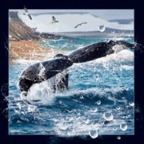 Magnes 3D Ogon wieloryba