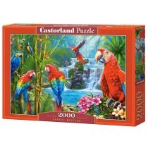 Puzzle 2000 el. Parrot. Meeting. Castorland