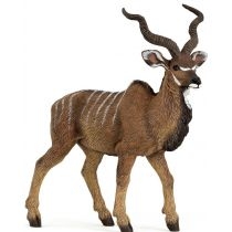Antylopa kudu wielka