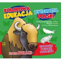 Kolorowa edukacja - Zwierzęta. Polski