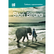 Słoń Birara. Lektura z opracowaniem