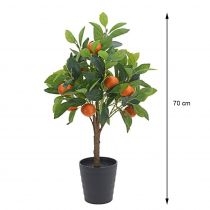 Pro. Garden. Drzewko pomarańczy w donicy 70 cm