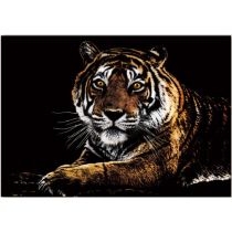 Yuelu. Tiger. Magiczna zdrapka - wydrapywanka 40.0 x 28.5 cm