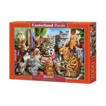 Puzzle 2000 el. House of. Cats. Castorland