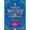 Księga magicznych łamigłówek