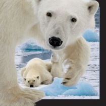 Magnes 3D Niedźwiedź polarny z młodym