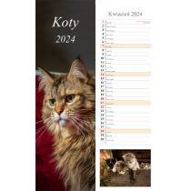 Kalendarz 2024 Pasek. Koty
