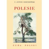 Polesie. Cuda. Polski