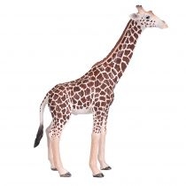 Figurka Żyrafa samiec. XL