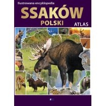 Ilustrowana encyklopedia ssaków. Polski. Atlas