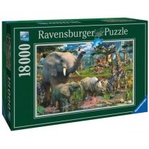 Puzzle 18000 el. Dzika natura. Ravensburger