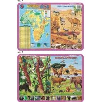 Visual. System. Podkładka edukacyjna. Afryka, zwierzęta. Sahary