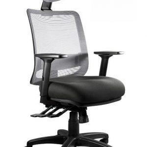 Fotel ergonomiczny do biura, Saga. Plus, szary