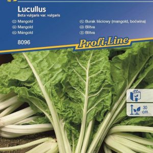 Burak liściowy 'Lucullus' – Boćwina – Kiepenkerl