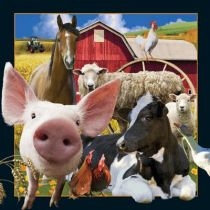 Pocztówka 3D Życie na farmie