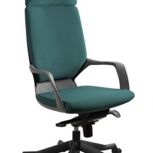 Fotel, krzesło biurkowe, Apollo, czarny, tealblue