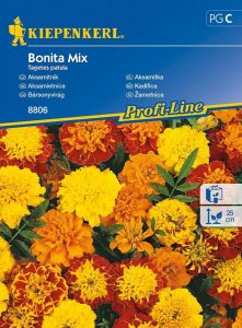 Aksamitka 'Bonita' – Mix. Nasion – Kiepenkerl