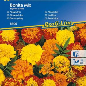 Aksamitka 'Bonita' – Mix. Nasion – Kiepenkerl