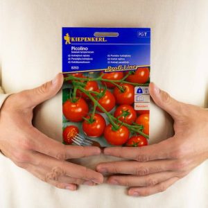 Pomidor 'Picolino' F1 – Koktajlowy – Kiepenkerl