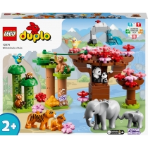 LEGO DUPLO Dzikie zwierzęta. Azji 10974