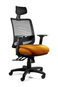 Fotel ergonomiczny do biura, Saga. Plus, mandarin