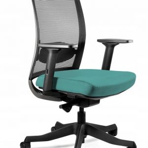Fotel biurowy, ergonomiczny, Anggun - M, tealblue, czarny