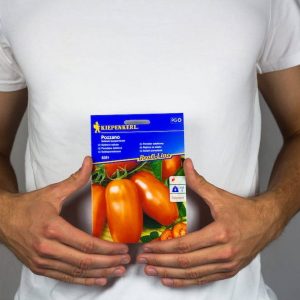 Pomidor. Sałatkowy 'Pozzano' F1 – Kiepenkerl