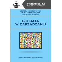Big data w zarządzaniu