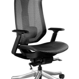 Fotel ergonomiczny, biurowy, siatka, Focus, czarny